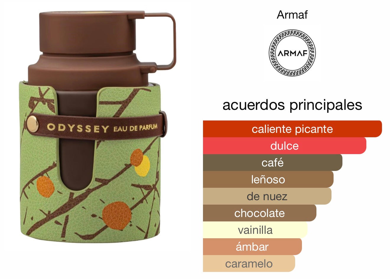 Odyssey Dubai Chocolate