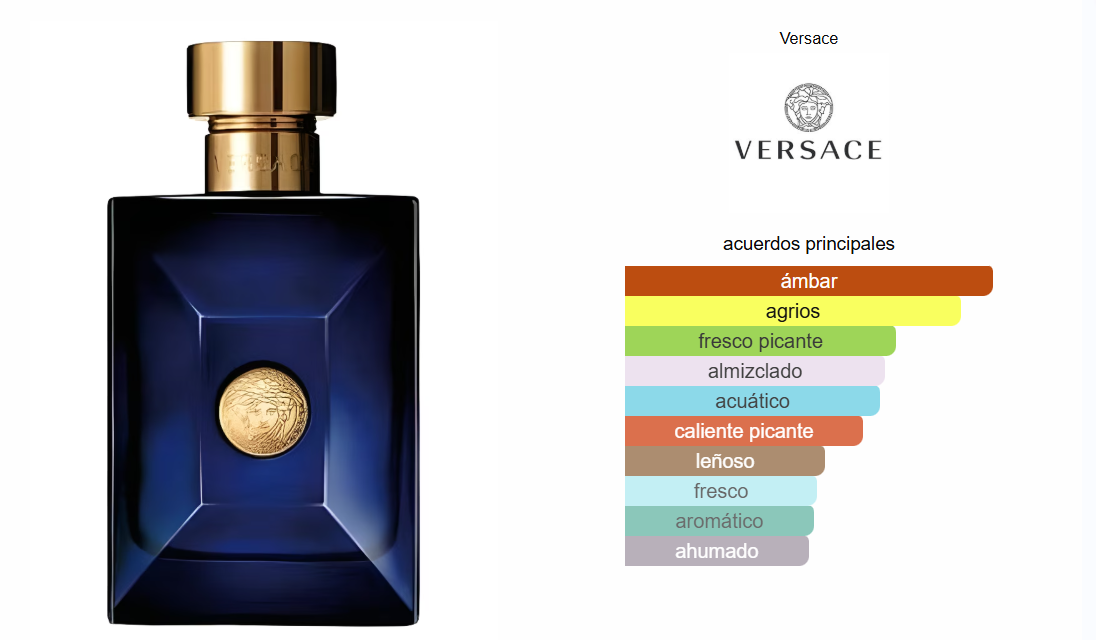 Versace Dylan Blue