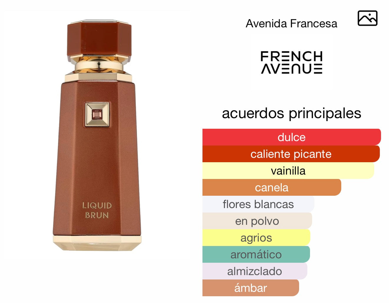 Liquid Brun French Avenue