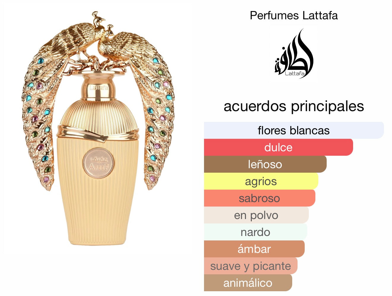 Afeef Lataffa