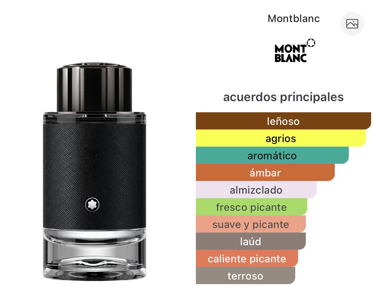 Explorer Montblanc